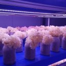 수정동농장 이미지