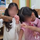 구지초교병설 이미지