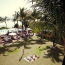 포테이토 독 이미지