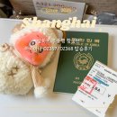 367 | 아시아나 인천 상하이 푸동행 왕복 OZ367/OZ368 내돈내산 탑승 &amp; 기내식 후기