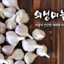 신년하례회를 마치고 이미지