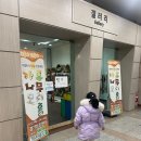 아트코칭나무 이미지