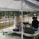산울림민박 이미지