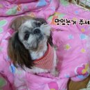 둥이PC 이미지