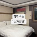 슈가모텔 | 가성비 황리단길 경주숙소 슈가호텔 내돈내산 후기