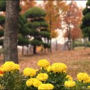 화랑공원 이미지