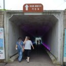 옥정호 출렁다리와 붕어섬 이미지