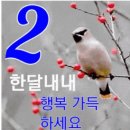 시샘달하루 이미지