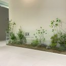 치과다운 치과교정과 치과의원 이미지