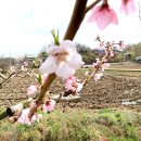 쇄암리 화장실 | 평화누리길 1코스 염하강철책길 완주 후기: 초보도 걷기 좋은 힐링코스 추천