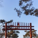 비운의 왕, 명종 그리고 인순왕후의 보금자리 &#34;강릉&#34; 알아보기 이미지