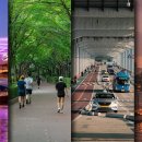 제니스디자인스튜디오 이미지