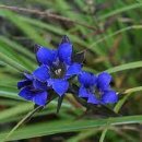 용담초교 이미지