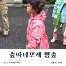 아이고고 숲파티포레 밤숲 탐험대 후기, 비 온 뒤 더 특별했던 유아숲체험