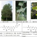 (주)영원파마 스타트업앤