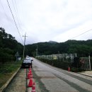 문희농장 | 문경 문희농원 개미취꽃 만개 10월 무료개방 자연 힐링 명소