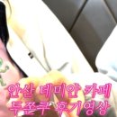 서안산주유소 이미지