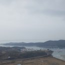 수영회무침