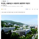 경북대학교(융합학부)