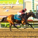 와마코리아 이미지