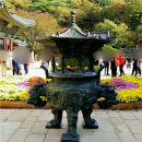 충북행정사사무소 이미지