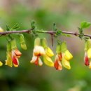 진통뼈사랑 이미지