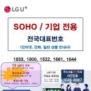 LG 유플러스 인터넷, 인터넷전화(VOIP) 070, 전국대표번호, LG전자 생활가전 이미지