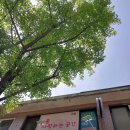 김숙미의 피부이야기