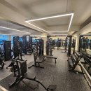 아벨라 짐 이미지