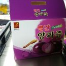 자색 이미지