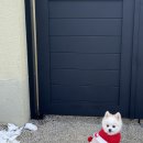 컴포즈커피강원홍천점 | [강원/홍천] 강원도여행 강원도 홍천 애견동반 독채숙소 유독피아 룸2 내돈내산 후기