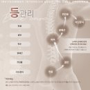 봄날테라피 | 시흥림프관리 전문, 에너지테라피 맛집 봄날엔스킨앤왁싱 (군살제거 최고)