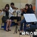 첼로 초급(성인) 이미지