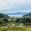 구름펜션민박 이미지