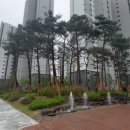 고덕국제신도시 금호어울림 이미지