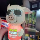 카카오 이미지