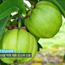 터미널식품