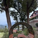 압록 | 곡성 여행코스 추천, 핑크뮬리 예쁜 카페 압록 노을맛집 다녀왔어요