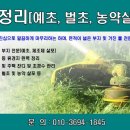 가시리 태양광발전소 네이버블로그