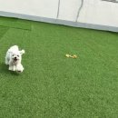 루이야 놀고 자고 GO 이미지