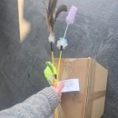 부산펫(주) | 2026 부산펫쇼 펫 박람회 벡스코 구경, 럽마이펫 시즌3 구입