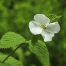 순리대로내몸건강 이미지