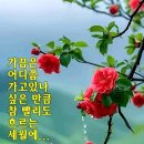 노아 이미지
