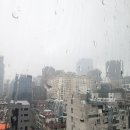 종필농장 이미지