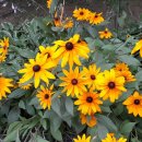 해도근린공원 이미지