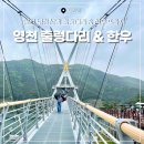 영천 가볼만한곳 보현산댐 출렁다리 한우프라자 방문후기