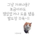 영화 &lt;7년의 밤&gt; 감상 후기, 스포 있음!!