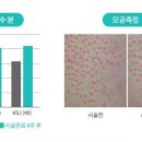 더블유피부과의원 이미지