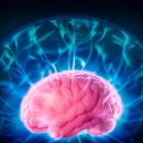 HMS FITNESS 이미지