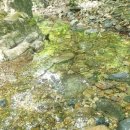 진안 운장산 등산코스 및 해발 1,126m 정상을 향한 산행 가이드 이미지